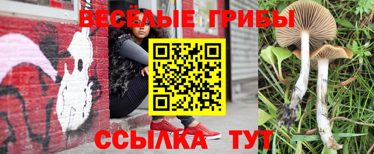 Галлюциногенные грибы ЛСД Биробиджан
